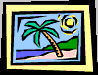 palm tree