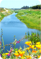 Watersheds