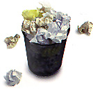 trash can
