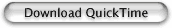 Apple QuickTime®