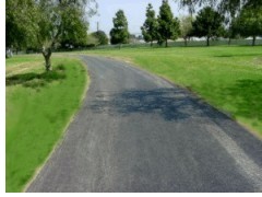 path after