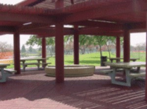 Senior Shelter
