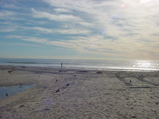 image of beach