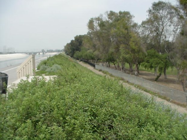 North From East Levee onto DeForest Park