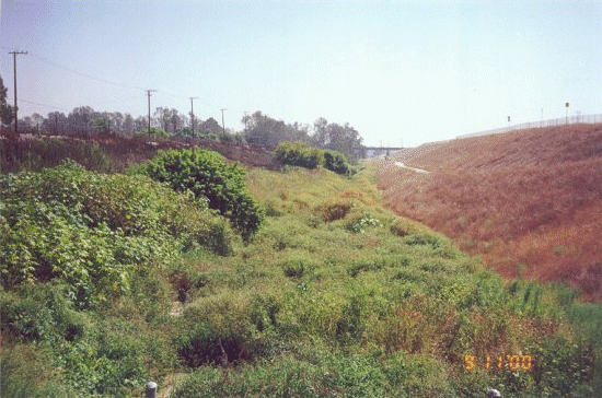 DOMINGUEZ GAP SPREADING GROUNDS
