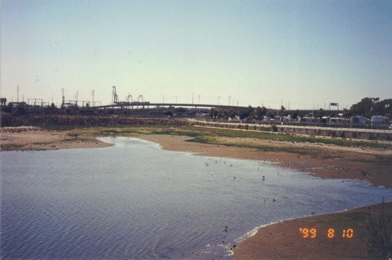 GOLDEN SHORE MARINE RESERVE
